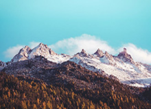 2026 世界杯-人人都爱！赛后魔笛和维尼修斯交谈甚欢，还被恩德里克抱起