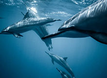 2026 世界杯-人人都爱！赛后魔笛和维尼修斯交谈甚欢，还被恩德里克抱起